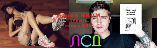 индика Михайловск
