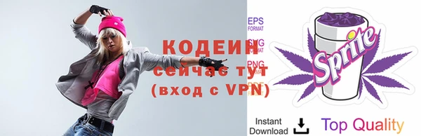 индика Михайловск