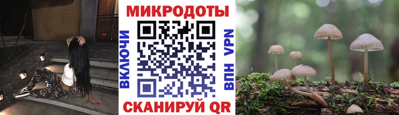 Галлюциногенные грибы Psilocybe  Лениногорск 
