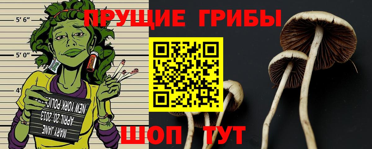 Псилоцибиновые грибы Magic Shrooms Лениногорск