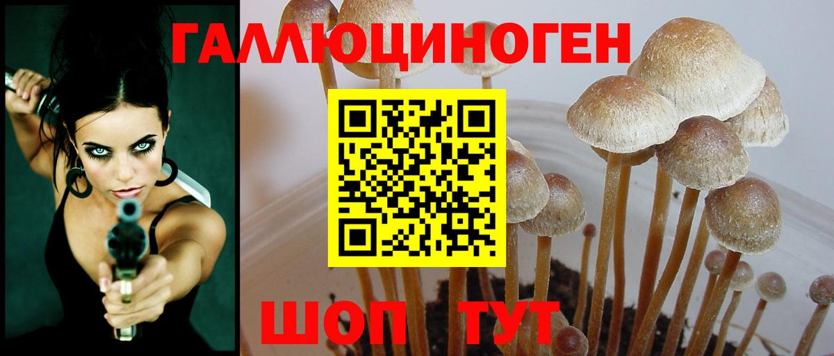 Галлюциногенные грибы Magic Shrooms  сколько стоит  Лениногорск  Вход с VPN 